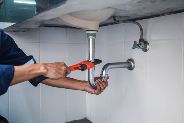 Best Plumbing Inspection Services  in Maple Lake, MN